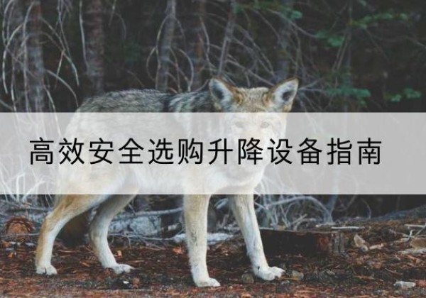 昆山升降货梯厂家推荐-*安全选购升降设备指南