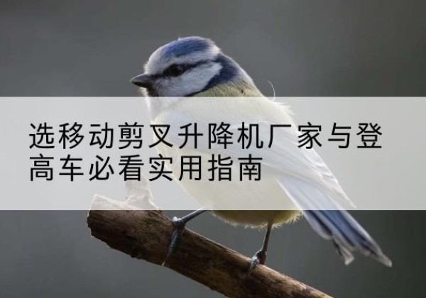 昆山电动升降机厂家-选移动剪叉升降机厂家与登高车必看实用指南